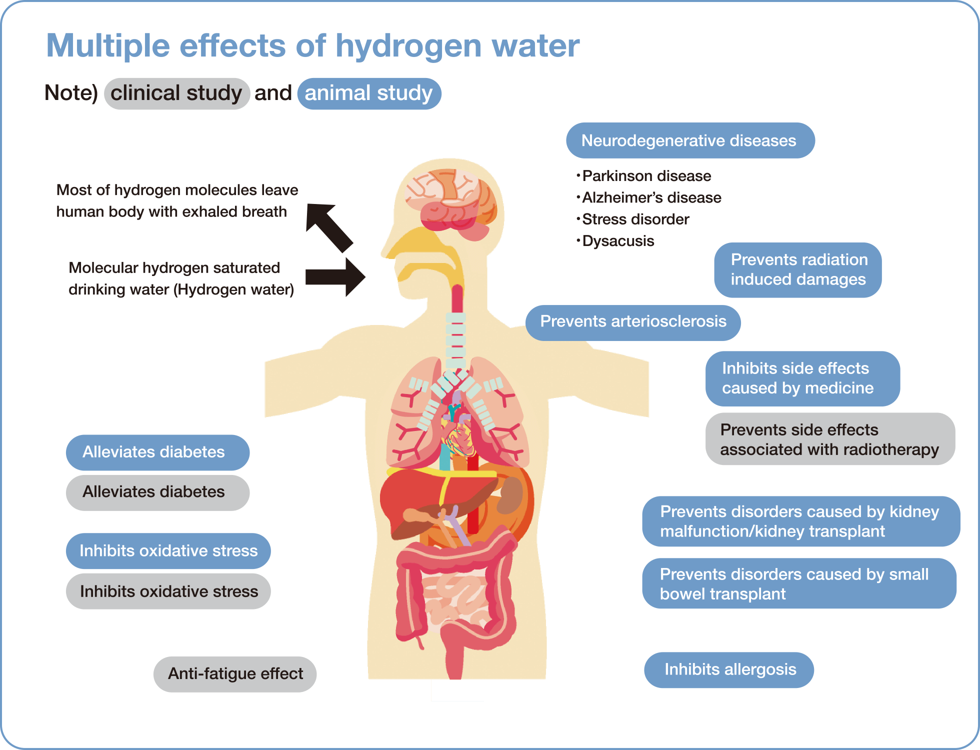 Various effects of hydrogen water