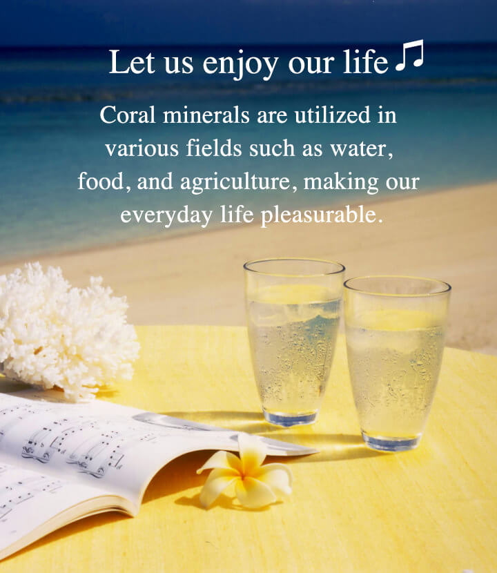 Enjoy Our Life