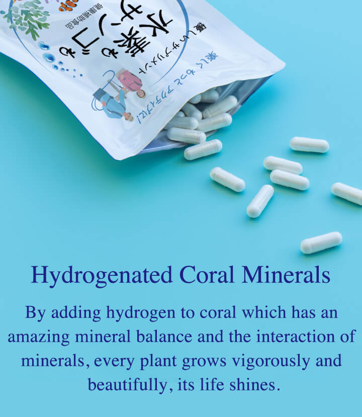 Hydrogenated Coral Minerals
