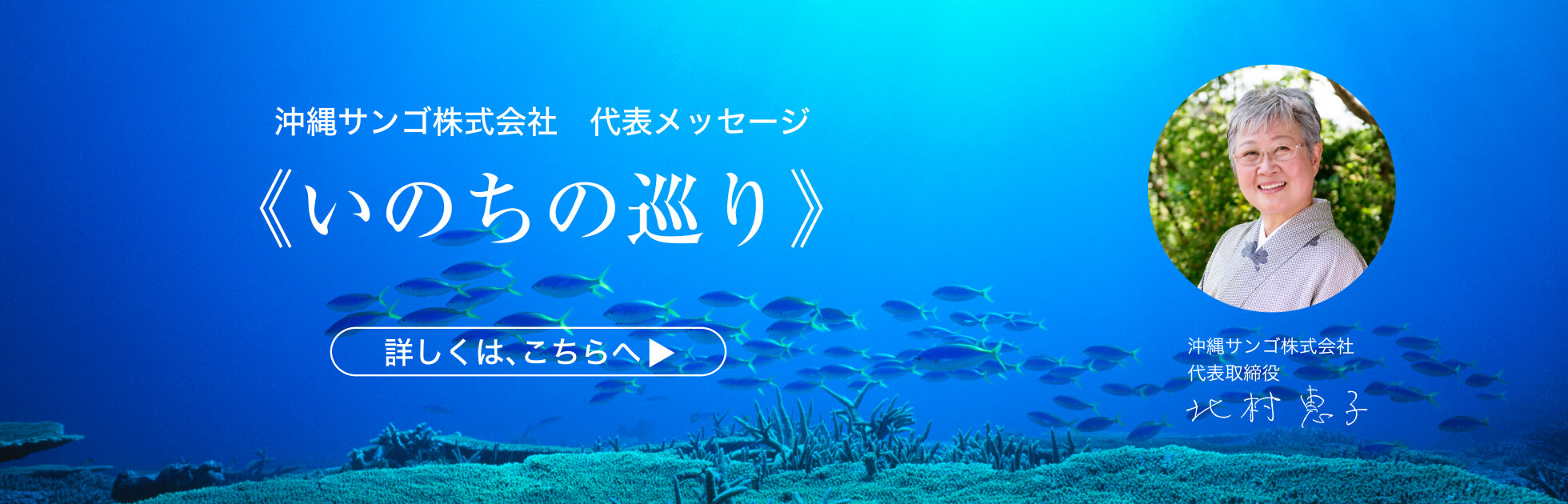 沖縄サンゴ株式会社 代表メッセージ 「いのちの巡り」