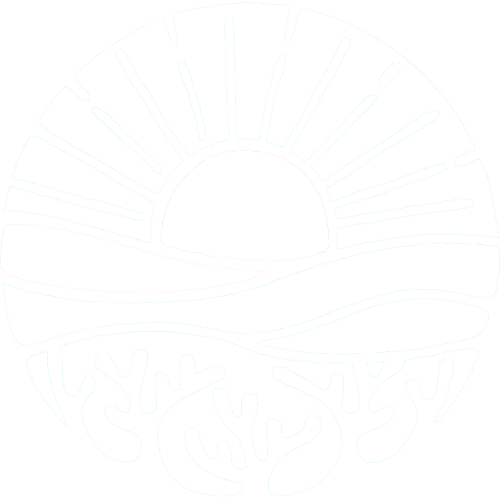 沖縄サンゴ